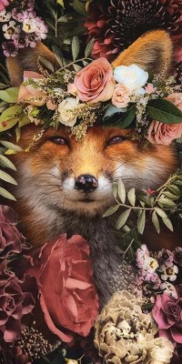 Husa Personalizata XIAOMI Pocophone F1 Vulpe foto