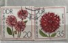 (B ) Timbre serii Straine Flora Flori DDR, Stampilat