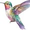 Sticker decorativ, Pasarea Colibri, Multicolor, 70 cm, 1271STK-1