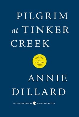 Pilgrim at Tinker Creek foto