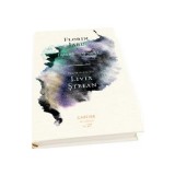 Ospiciile imaginatiei - Florin Iaru