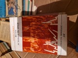 Rusia scaldata &icirc;n s&acirc;nge 1 vintage