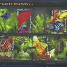ROMANIA 2005 – PESTI EXOTICI, bloc stampilat, EW15