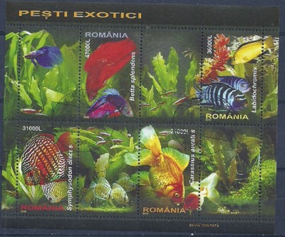 ROMANIA 2005 &amp;ndash; PESTI EXOTICI, bloc stampilat, EW15 foto