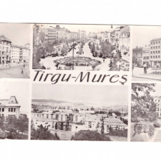 CP mare Targu Mures - Mozaic, RPR, circulata 1965, stare buna