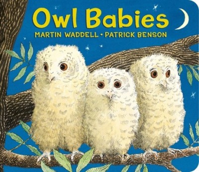 Owl Babies foto