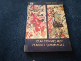 Cumpara ieftin GRIGORE ILIESCU - CUM CONVIETUIESC PLANTELE SI ANIMALELE