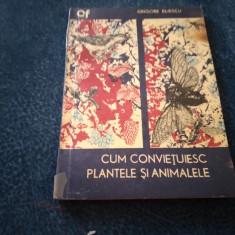 GRIGORE ILIESCU - CUM CONVIETUIESC PLANTELE SI ANIMALELE