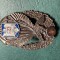 Insigna parasutist militar Cl 2 dupa 1966 varainta 2
