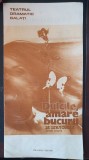 Program Teatrul Dramatic Galati, Dulcile, amare bucurii, stagiunea 1985-86