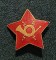 Insigna / cuc posta rar - 1