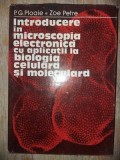 INTRODUCERE IN MICROSCOPIA ELECTRONICA CU APLICATII LA BIOLOGIA CULTURALA SI MOLECULARA de P.G. PLOAIE , ZOE PETRE