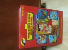 Povesti dupa desene animate clasice