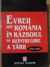 EVREII DIN ROMANIA IN RAZBOIUL DE REINTREGIRE A TARII 1916-1919 - DUMITRU HINCU foto