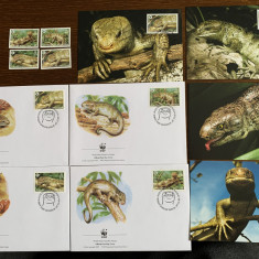 solomon - reptile - serie 4 timbre MNH, 4 FDC, 4 maxime, fauna wwf