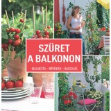Sz&uuml;ret a balkonon - Kialak&iacute;t&aacute;s- N&ouml;v&eacute;nyek - Nassol&aacute;s
