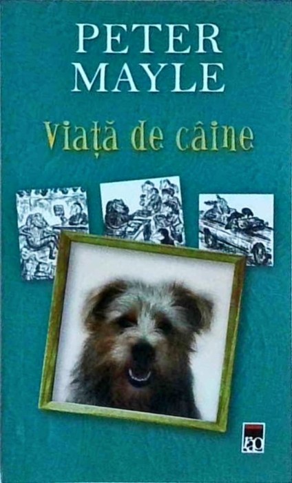 Peter Mayle - Viata de caine