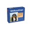 Weratedogs 2024 Day-To-Day Calendar