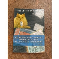 Ana Dulu 700 de teste pentru obtinerea Permisului European de Conducere a Computerului