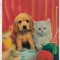 bnk cp Carte postala 3D - catel si pisica - Wonder Co SSP-87