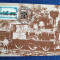 CFR Caile Ferate Romane - CP - Locomotiva cu aburi CALUGARENI 1869 - numerotata