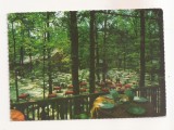 RF85 - Carte Postala - Pitesti, restaurantul Cornul Vanatorului din Trivale, circulata 1975