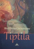 Cumpara ieftin Tiptila. povestiri deasuprarealiste - 2015 - Bica Nelu Caciuleanu ($D98)