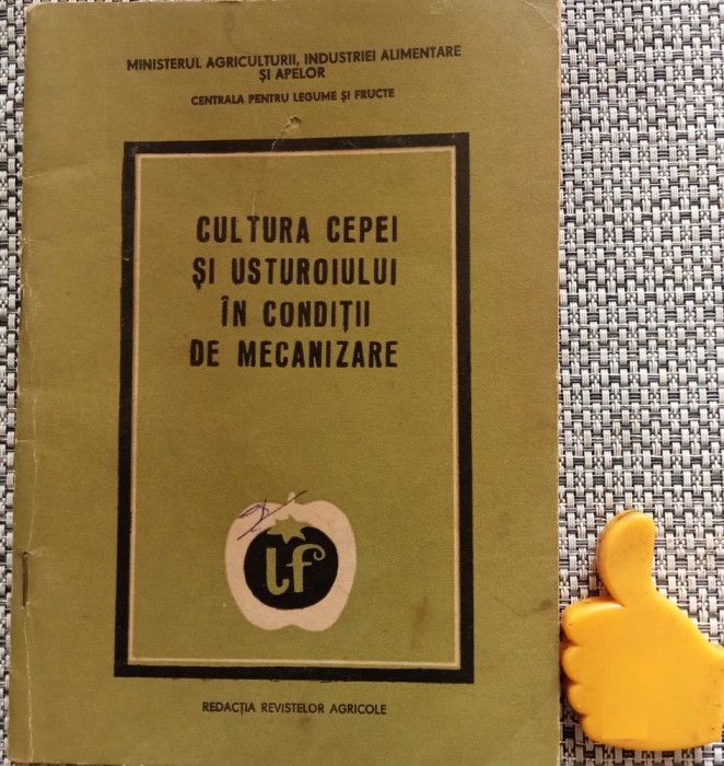 Cultura cepei si usturoiului in conditii de mecanizare