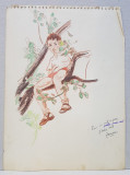 Lucretia Mihail Silion (1895 - ? ) - Puiu s&#039;a suit in pom pentru prima oara