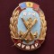 Insigna AVSAP - RPR