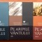 Pe aripile vantului 3 Volume. Editura Litera, 2018 - Margaret Mitchell