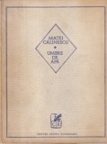 Matei Calinescu - Umbre de apa