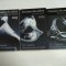 CINCIZECI DE UMBRE (3 Volume) - E.L.JAMES