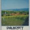DALBOSET , STUDIU MONOGRAFIC de ICOANA BUDESCU , 2007 , DEDICATIE *