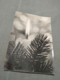Cumpara ieftin CARTE POSTALA FELICITARE CIRCULATA