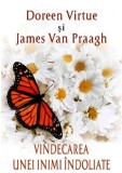 Vindecarea unei inimi indoliate | James Van Praagh, Doreen Virtue, Adevar Divin