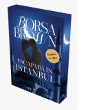 Escapada in Istanbul. Volumul 3 al Trilogiei Mafiei - Borsa Brown