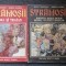 STRAMOSII. BUREBISTA + DECEBAL SI TRAIAN - Theodoru