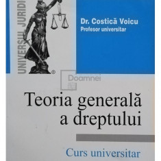 Costica Voicu - Teoria generala a dreptului. Curs universitar (editia 2005)