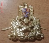 QW14 - Emblema militara / cuc - Uscat - piesa de colectie