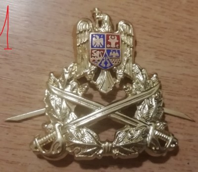 QW14 - Emblema militara / cuc - Uscat - piesa de colectie foto