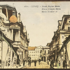 (85) CARTE POSTALA ROMANIA - LUGOJ - STRADA REGINA MARIA