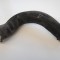 Furtun intercooler dreapta VW TRANSPORTER V T5 Minibus / passenger 2005 OEM: NER 1804025
