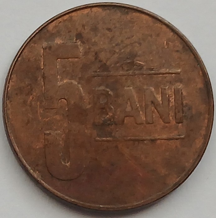 5 Bani 2006