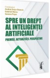 Spre un drept al inteligentei artificiale. Premise. Actualitati. Perspective - Andrei Dutu-Buzura, Gabriel Manu, Sorana Popa