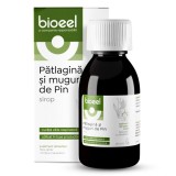 Sirop patlagina si muguri de pin 120ml