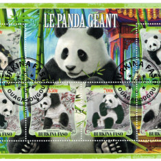 BURKINA FASO 2021 - Ursi Panda / set complet - colita+bloc