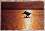 Carte postala Mamaia - Sub clar de luna, Necirculata, Printata