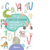 Caiet de scriere. Semne grafice. Litere de tipar. Cifre