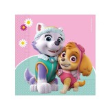 Set 20 servetele petrecere Paw Patrol Skye și Everest 33 x 33 cm